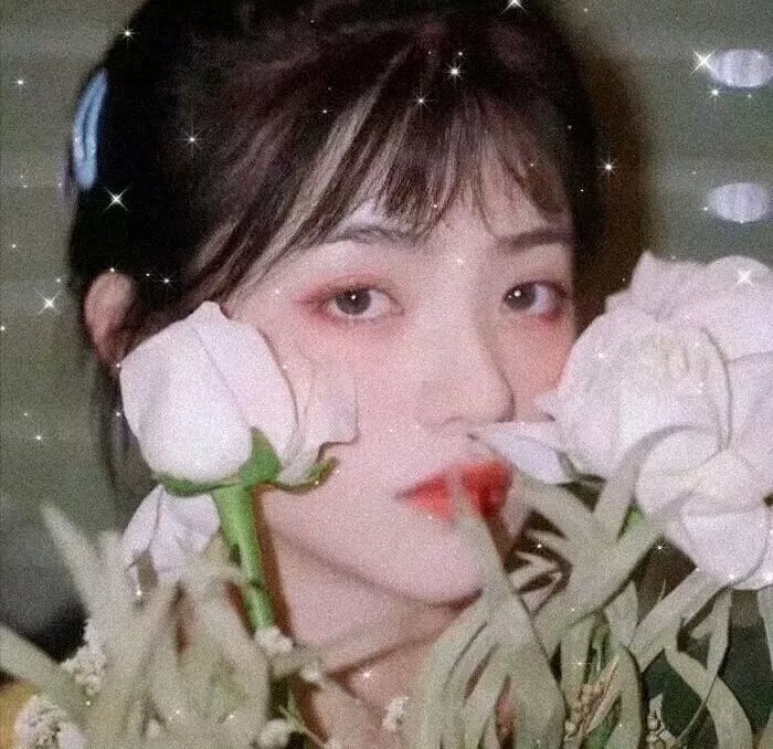 女人永远是对的粤语